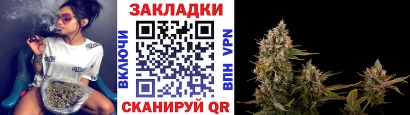 Псилоцибиновые грибы Петропавловск-Камчатский