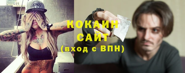 прущие грибы Аркадак