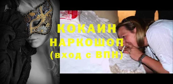 прущие грибы Аркадак