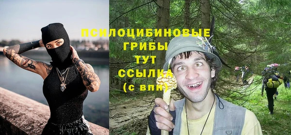 PSILOCYBIN Снежногорск