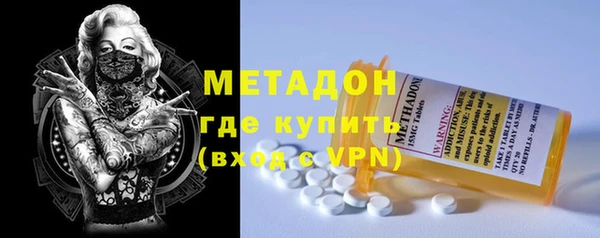 прущие грибы Аркадак