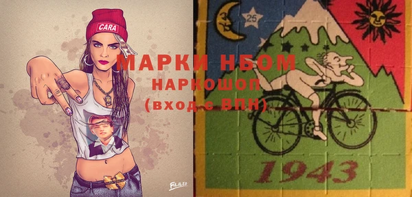 прущие грибы Аркадак